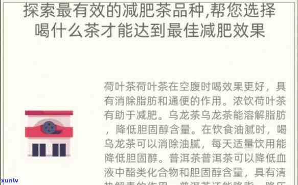 減肥茶減肚子脂肪哪種最有效？全面比較評測！