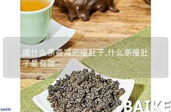 減肥茶減肚子脂肪哪種最有效？全面比較評測！