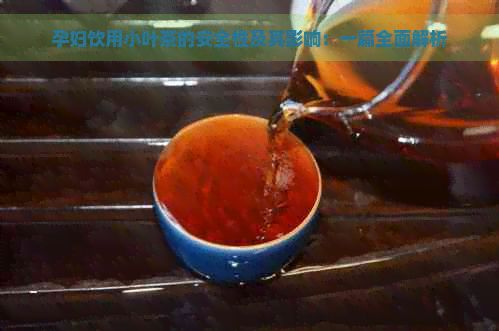 孕婦飲用小葉茶的安全性及其影響：一篇全面解析