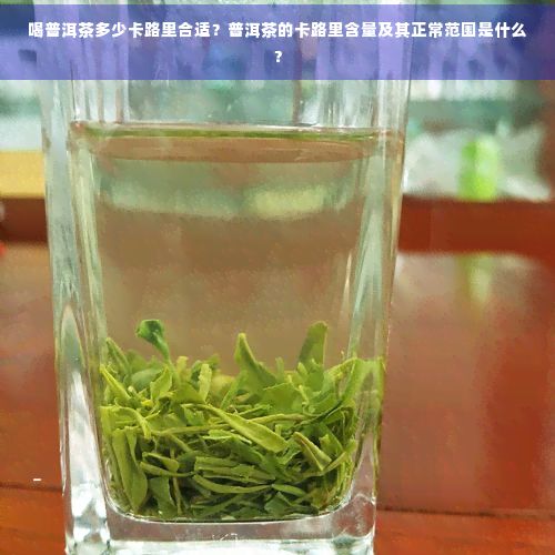 喝普洱茶多少卡路里合適?普洱茶的卡路里含量及其正常范圍是什么?