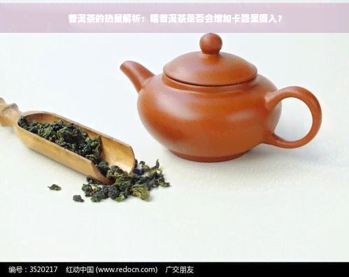 普洱茶的熱量解析:喝普洱茶是否會(huì)增加卡路里攝入?