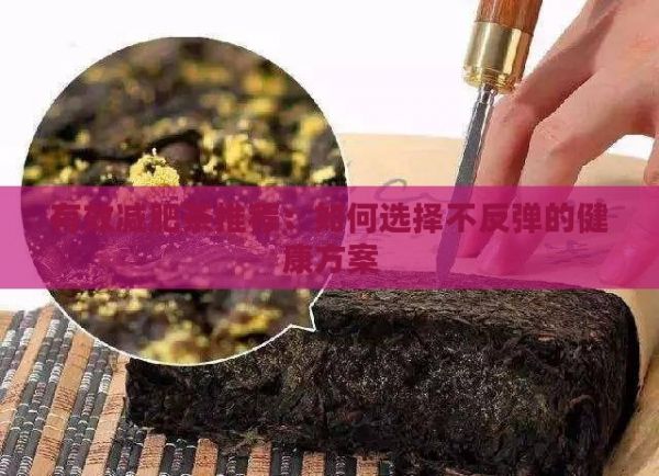有效減肥茶推薦：如何選擇不反彈的健康方案