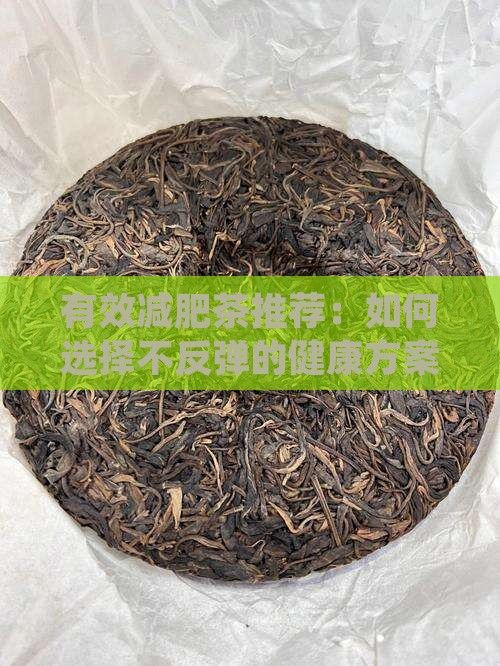有效減肥茶推薦：如何選擇不反彈的健康方案