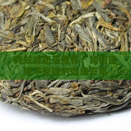 有效減肥茶推薦：如何選擇不反彈的健康方案