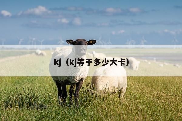 1卡路里和千焦的换算_千焦和卡路里换算_卡路里千焦怎么换算