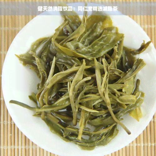 健天然消脂飲品：同仁堂精選減脂茶