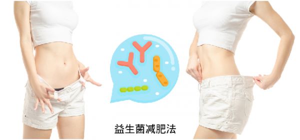 關于益生菌減肥法 你想知道的都在這兒