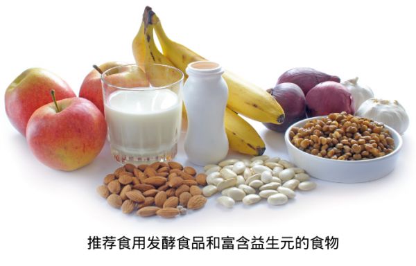 關于益生菌減肥法 你想知道的都在這兒