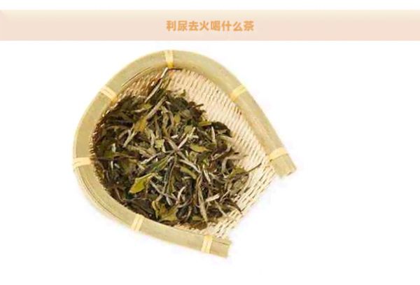 利尿去火喝什么茶
