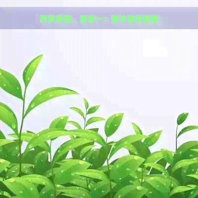 利尿消暑，清涼一：茶水選擇指南