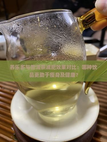 養(yǎng)樂多與普洱茶減肥效果對比：哪種飲品更助于瘦身及健康？