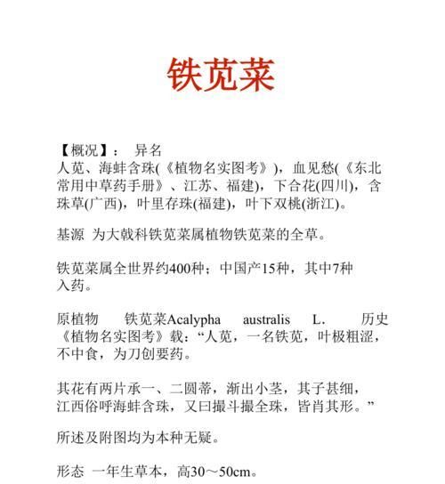 斑地錦——營(yíng)養(yǎng)豐富的健康佳品（探秘斑地錦的功效與作用）