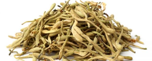 腸胃濕熱可以喝紅茶嗎 濕熱體質(zhì)可以喝紅茶嗎 濕熱喝紅茶好嗎