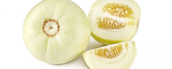 肝胆湿热吃什么水果 肝胆湿热吃什么 湿热体质吃什么水果