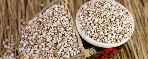 肝胆湿热吃什么水果 肝胆湿热吃什么 湿热体质吃什么水果