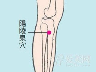 體質(zhì)養(yǎng)生調(diào)理——濕熱質(zhì)（體質(zhì)養(yǎng)生之8）