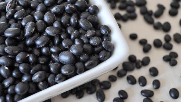 天天晚上跑步能减肥吗？减肥期间饮食要注意什么？