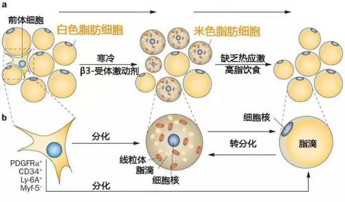 微信圖片_20240228092117