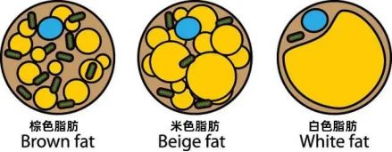 微信圖片_20240228092153