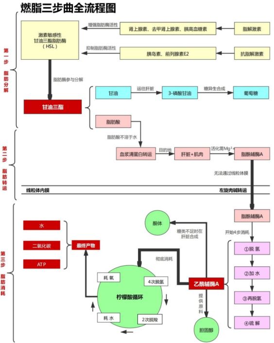 微信圖片_20240228092258