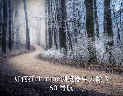 如何在chrome瀏覽器中去除 360 導(dǎo)航