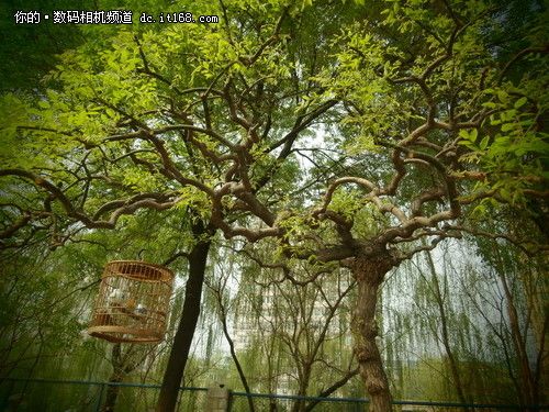 VR360特效濾鏡