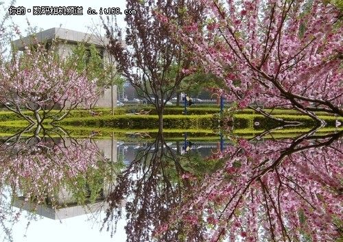 VR360特效濾鏡