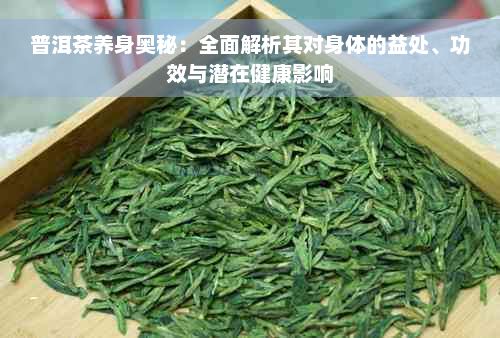 普洱茶養(yǎng)身奧秘：全面解析其對(duì)身體的益處、功效與潛在健康影響