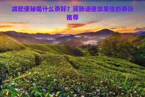 减肥便秘喝什么茶好？润肠通便效果佳的茶叶推荐
