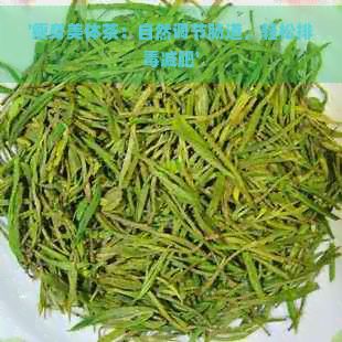 '瘦身美体茶：自然调节肠道，轻松排减肥'
