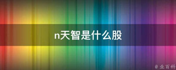 n天智是什么股
