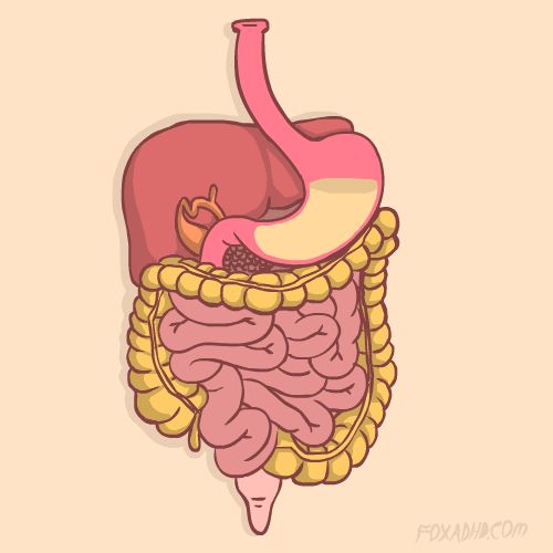 左旋肉堿、代餐奶昔、瘦腰丸...朋友圈減肥產(chǎn)品大盤點(diǎn)