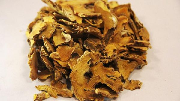那些年我們追尋的減肥藥