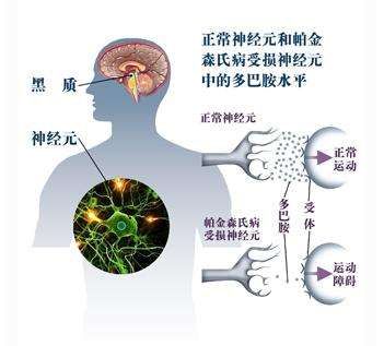 微信圖片_20201125091951副本.jpg