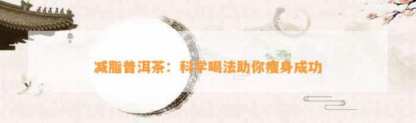 減脂普洱茶：科學(xué)喝法助你瘦身成功