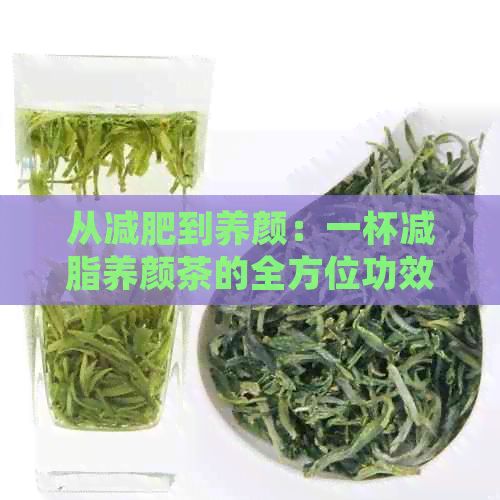 从减肥到养颜：一杯减脂养颜茶的全方位功效与使用方法