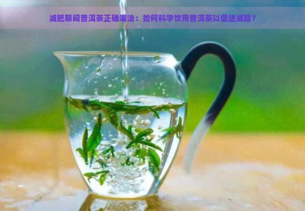 减肥期间普洱茶正确喝法：如何科学饮用普洱茶以促进减脂？