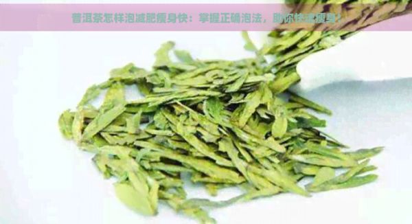 普洱茶怎樣泡減肥瘦身快：掌握正確泡法，助你快速瘦身！