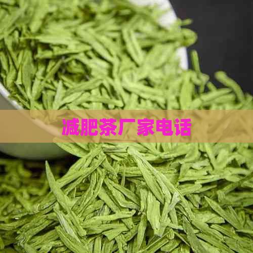 減肥茶廠家電話