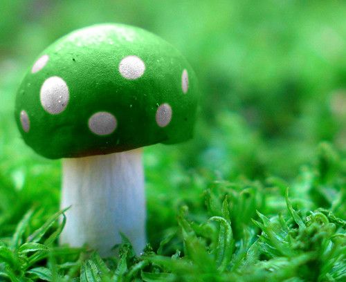 減肥拔火罐應(yīng)該拔哪些穴位 拔罐減肥的原理