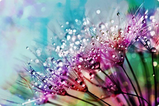 3款绿色减肥食物