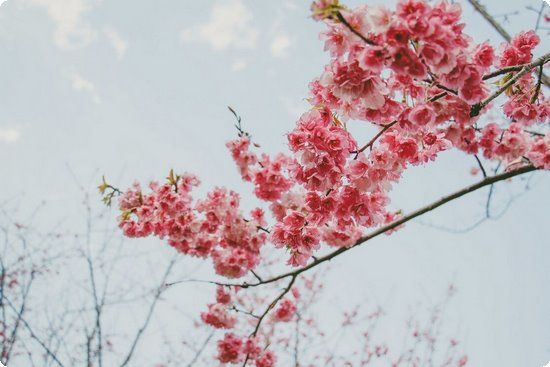 科學(xué)的健康減肥 方案策略不能少