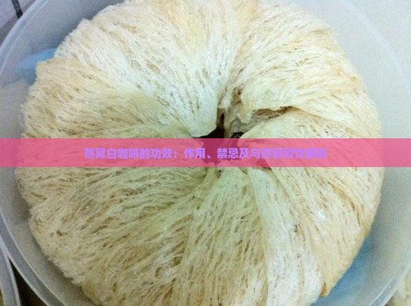 燕窩白咖啡的功效：作用、禁忌及與燕窩同飲解析