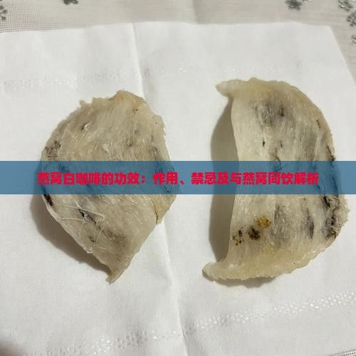 燕窩白咖啡的功效：作用、禁忌及與燕窩同飲解析