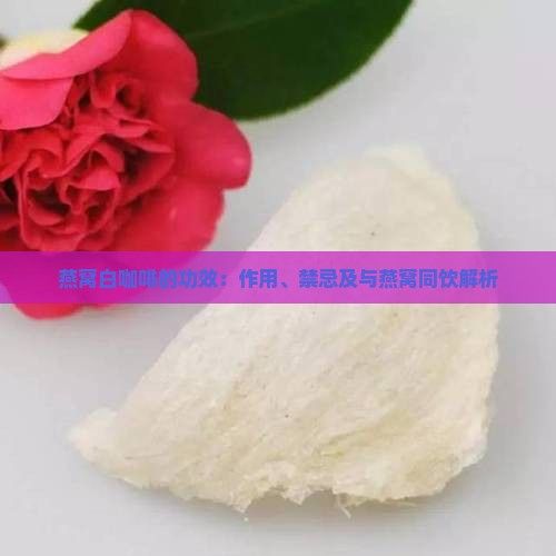 燕窩白咖啡的功效：作用、禁忌及與燕窩同飲解析