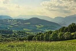 晚间西红柿减肥法日本_晚间西红柿减肥食谱_晚间西红柿减肥