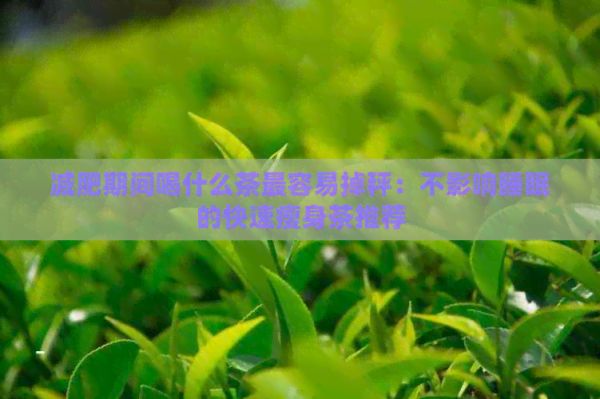 減肥期間喝什么茶最容易掉秤：不影響睡眠的快速瘦身茶推薦