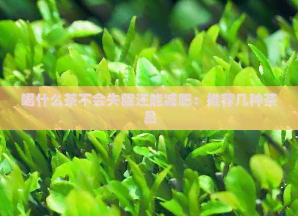 喝什么茶不會失眠還能減肥：推薦幾種茶品