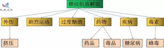 引发横纹肌溶解症的高危因素 (图片来源:作者自制)