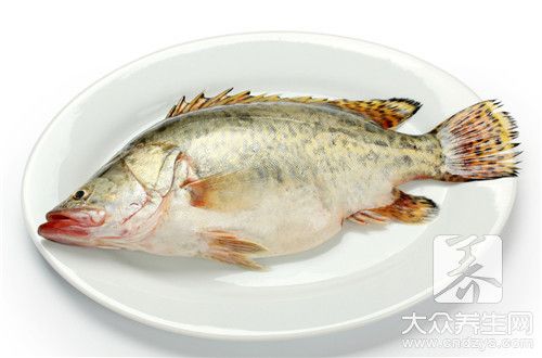 怎樣烹飪羅非魚？